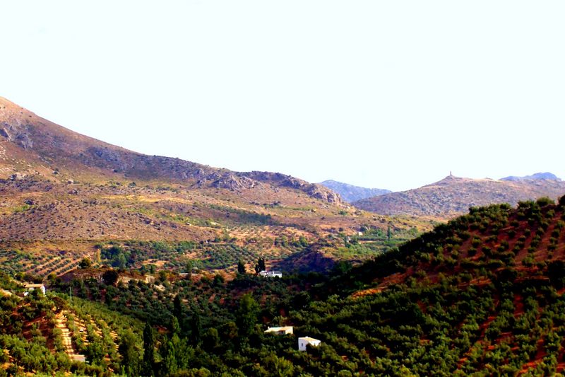 Vistas terraza